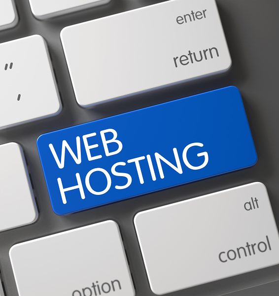 Choosing the best web hosting provider for your business website