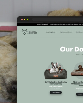 Website to the next level Creatures of Comfort