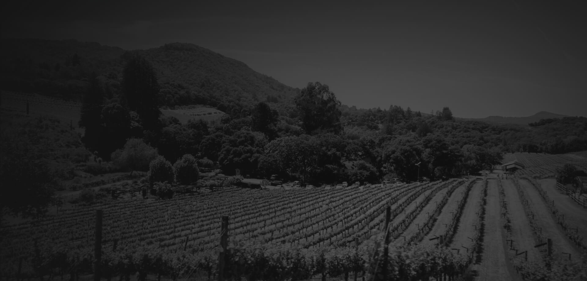 Harvest Tours Background Image