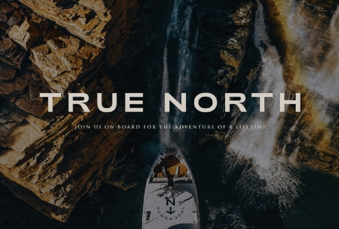 Overview-Case-Study-True-North