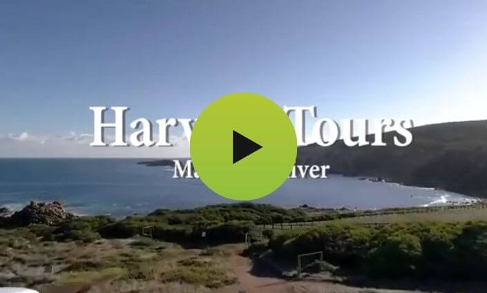 Harvest-Tours-Video-Preview