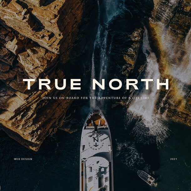 Website Design Case Study True North