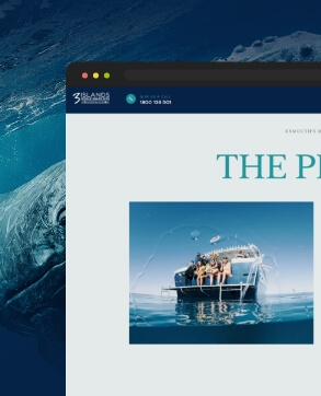 Web Design Case Study | Three Islands Whale Shark Dive | Dilate Digital