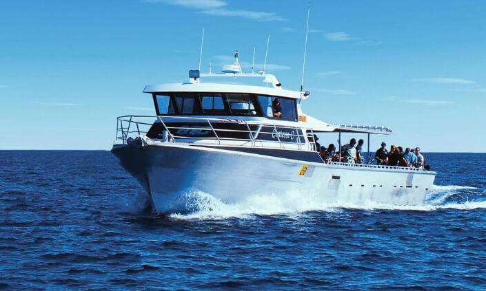 Absolute Ocean Charters