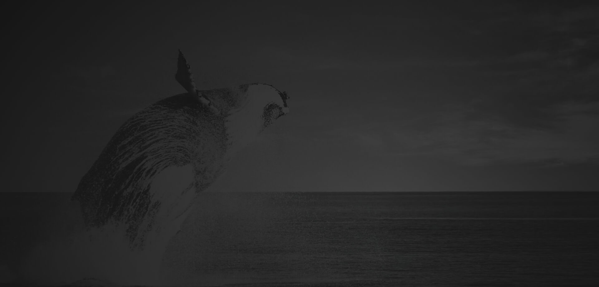 Absolute Ocean Charters Background Image