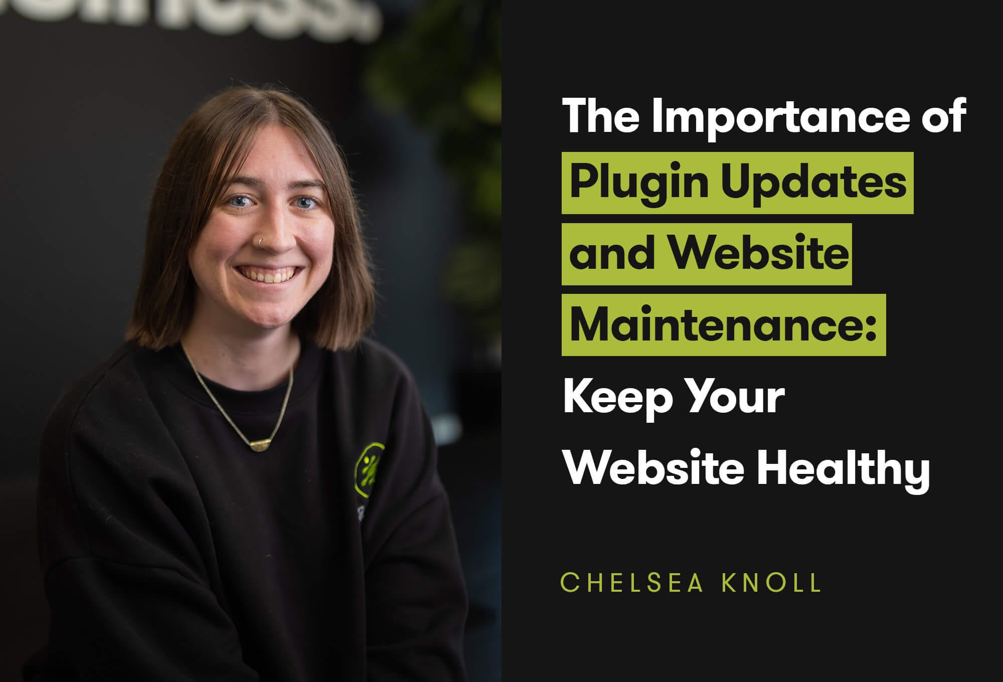 The Importance of Plugin Updates and Website Maintenance: Keep Your Website Healthy